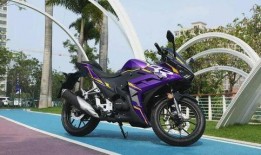 国产摩托最新爆料,最新爆料揭秘未来霸主